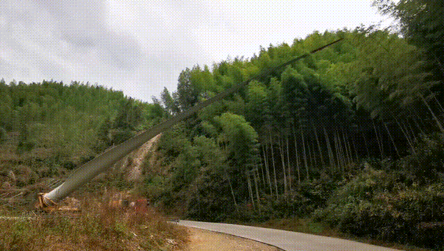PG试玩